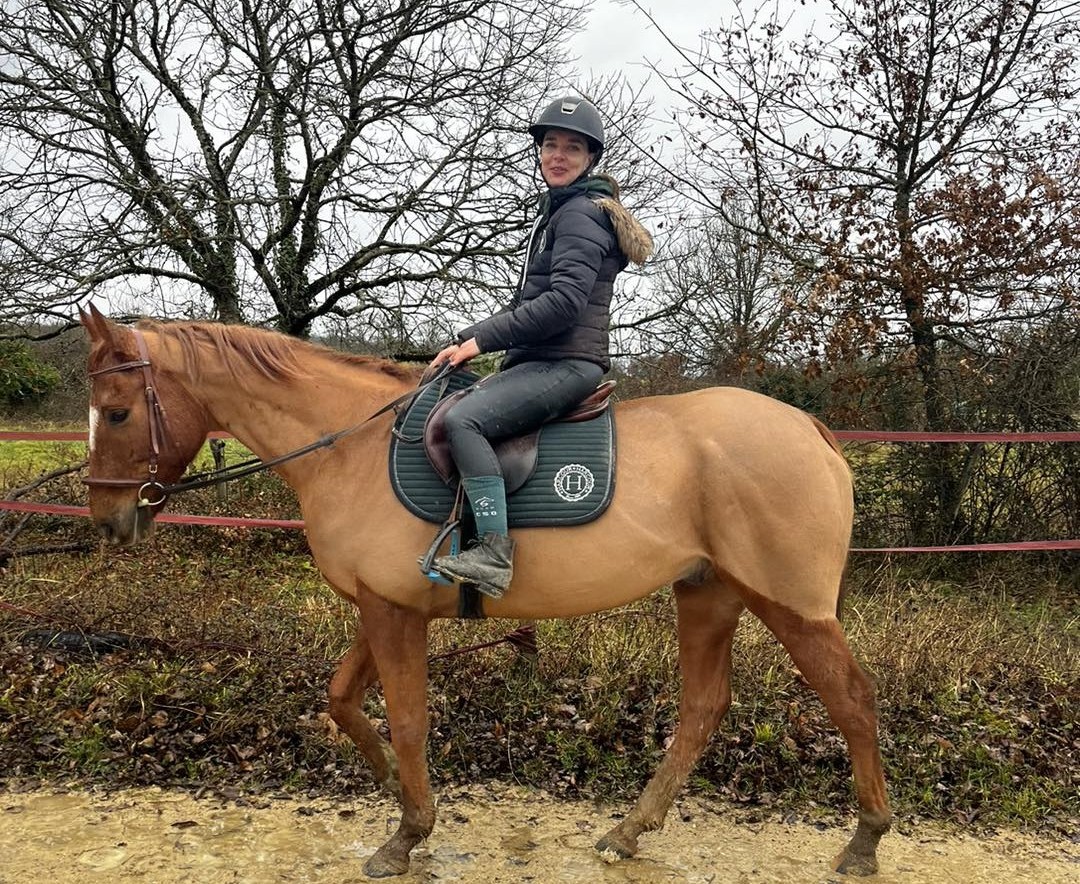 Chevaux réformés dans les pâturages des Crins de Django